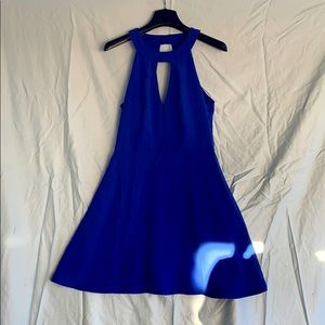 Cream & sugar electric blue dress